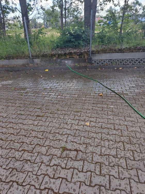 ZRASZACZ OGRODOWY IMPULSOWY WBIJANY SZPILKOWY DO PODLEWANIA SCHMITH